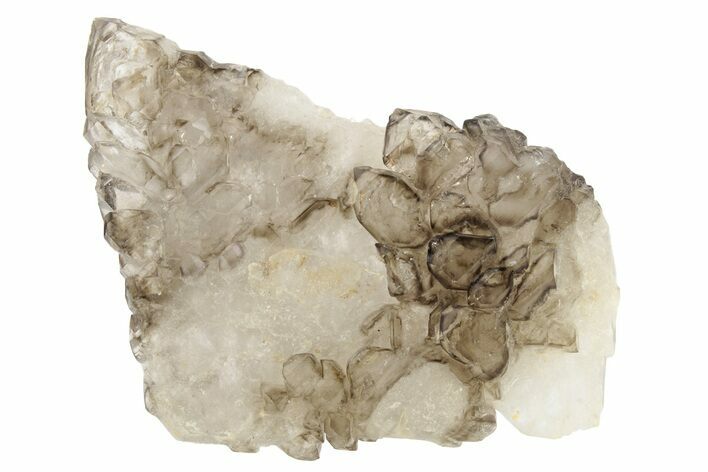 Lustrous Smoky Elestial Jacaré Quartz - Brazil #238103